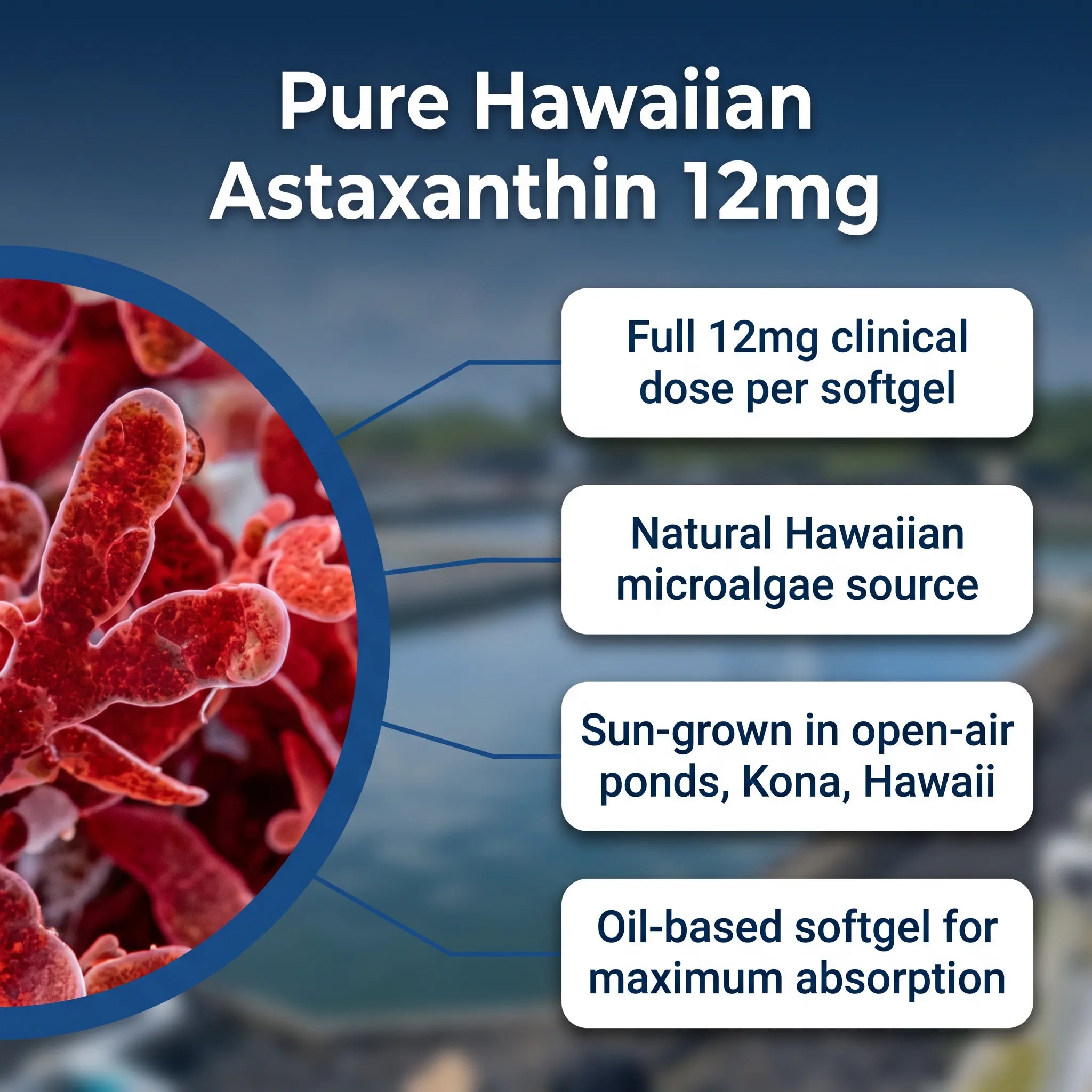 Astaxanthin Capsules