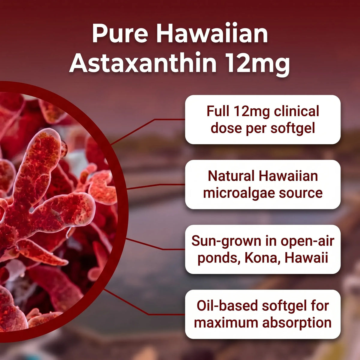 Astaxanthin Capsules(30 softgels)